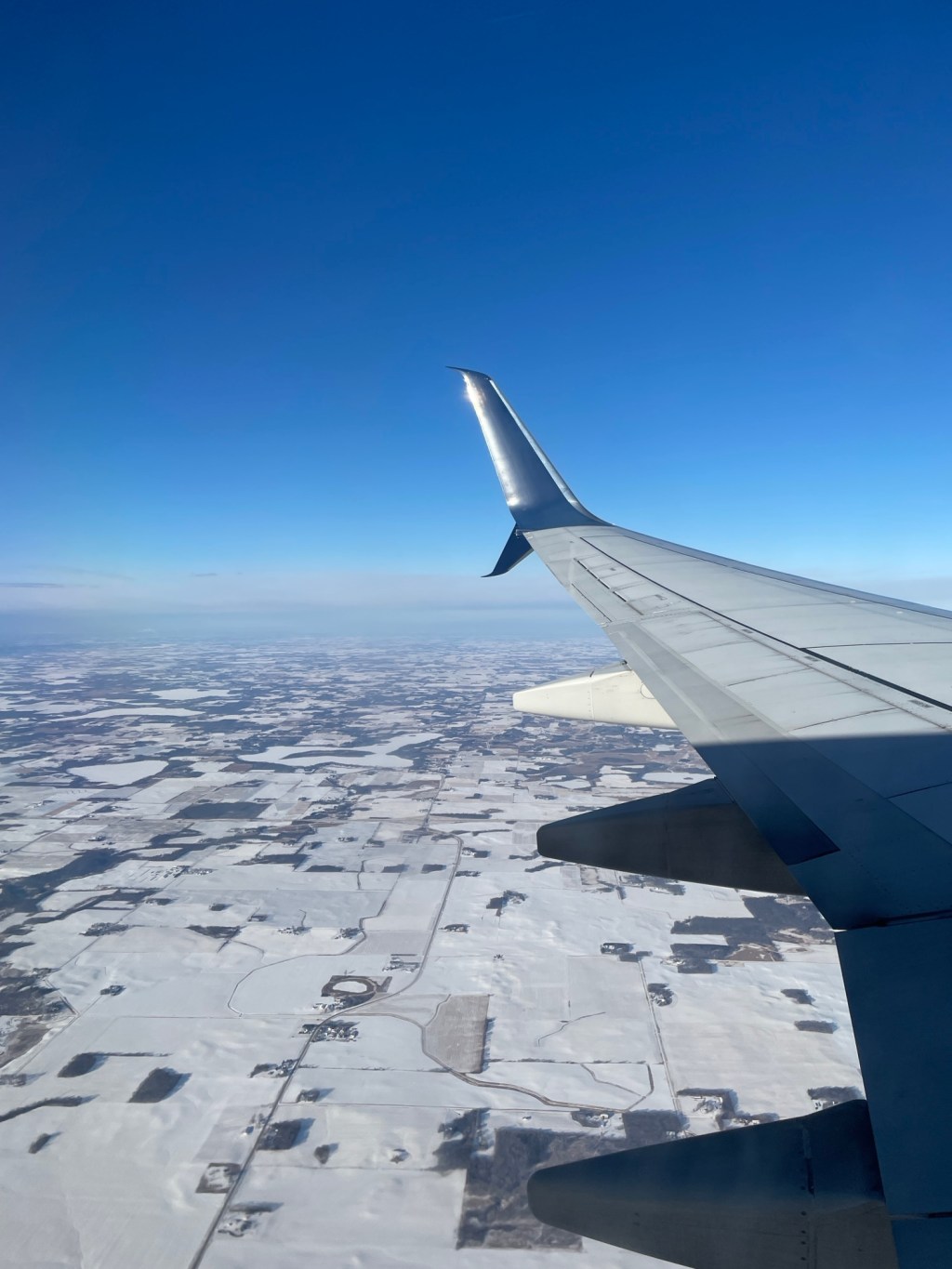 The Government Reopened